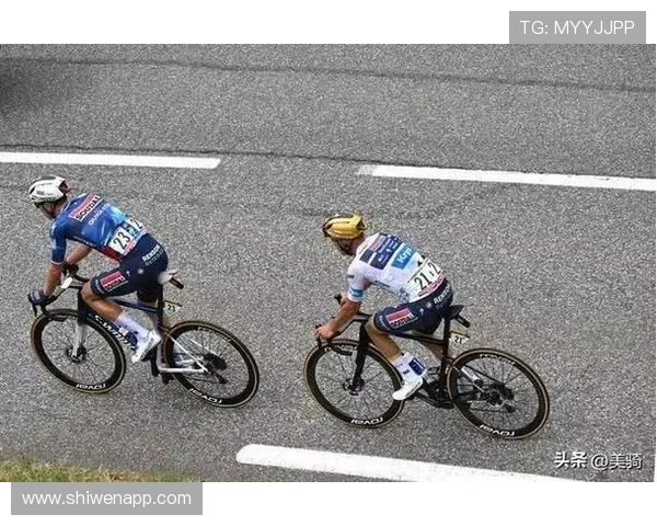 环法赛14段 阿伦斯曼单骑突围摘胜 艾菲内普尔因伤退赛